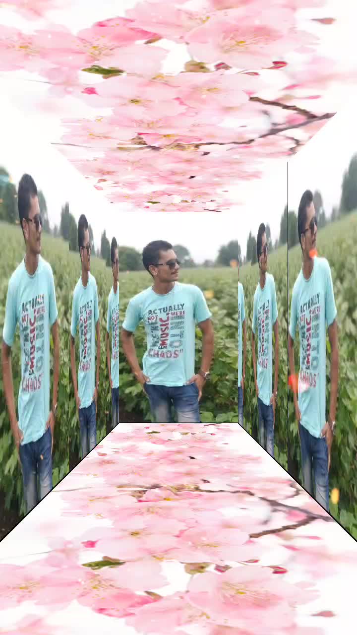 @kattrbhimachawag 358