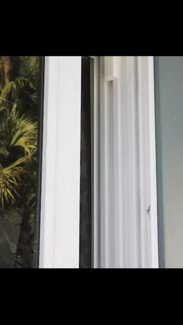 @TVPORN