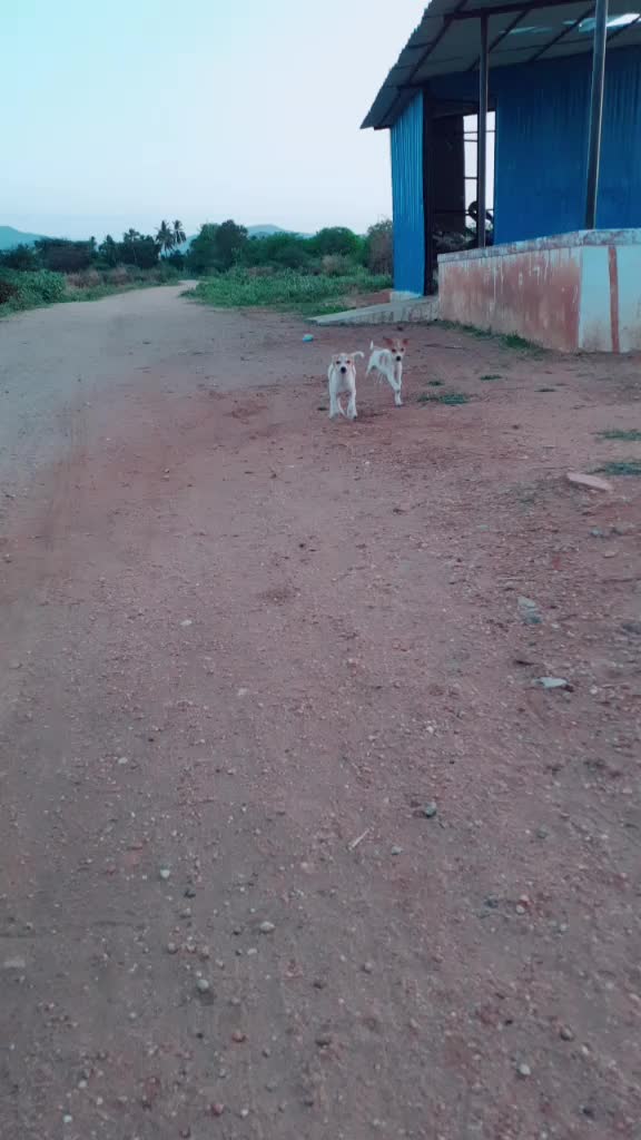 @hariharan68764586285