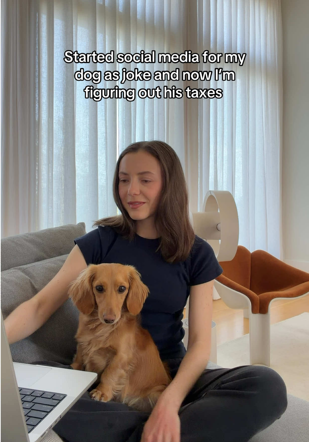 @cashewdachshund