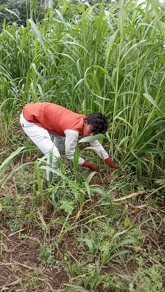@Md Yadul