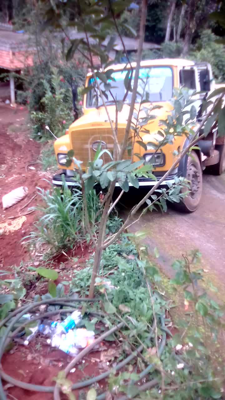 @Anitha Pramod
