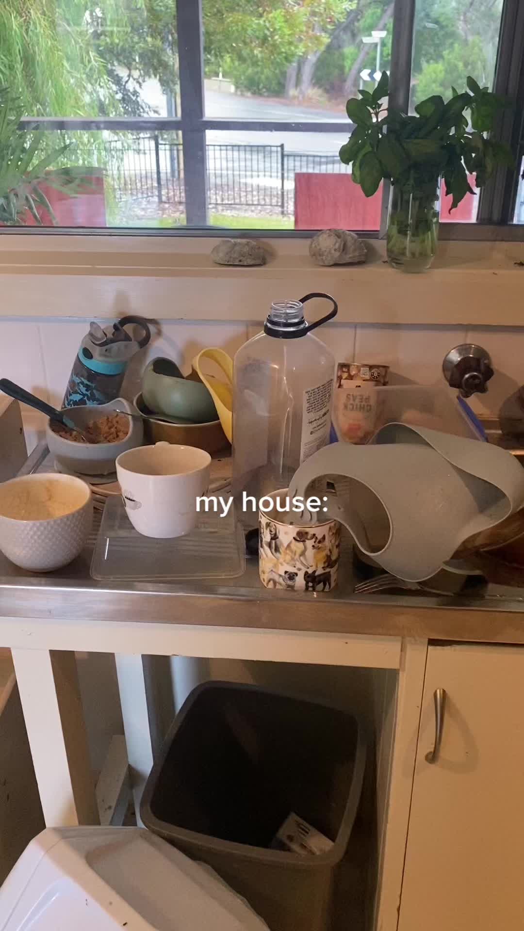 @jess katz