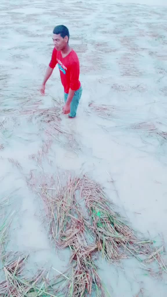 @Ulisesrana1