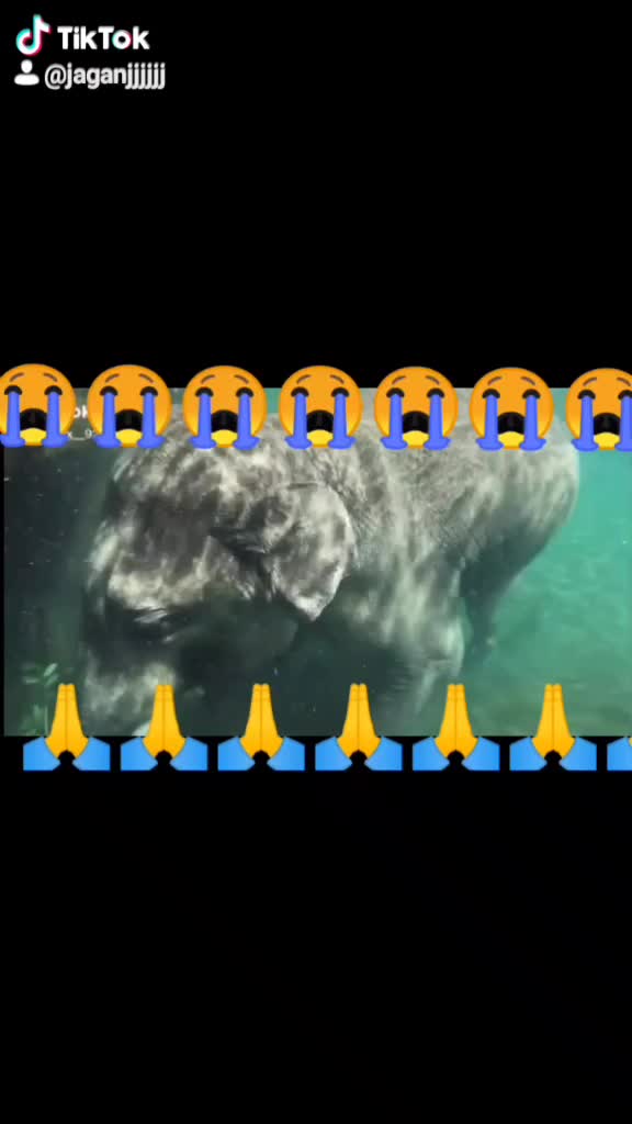 @345678