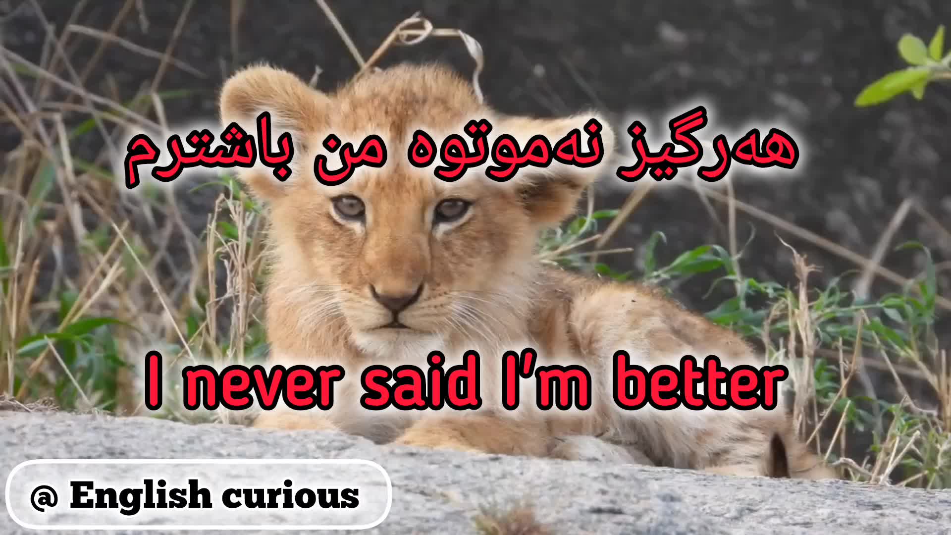 @English Curious