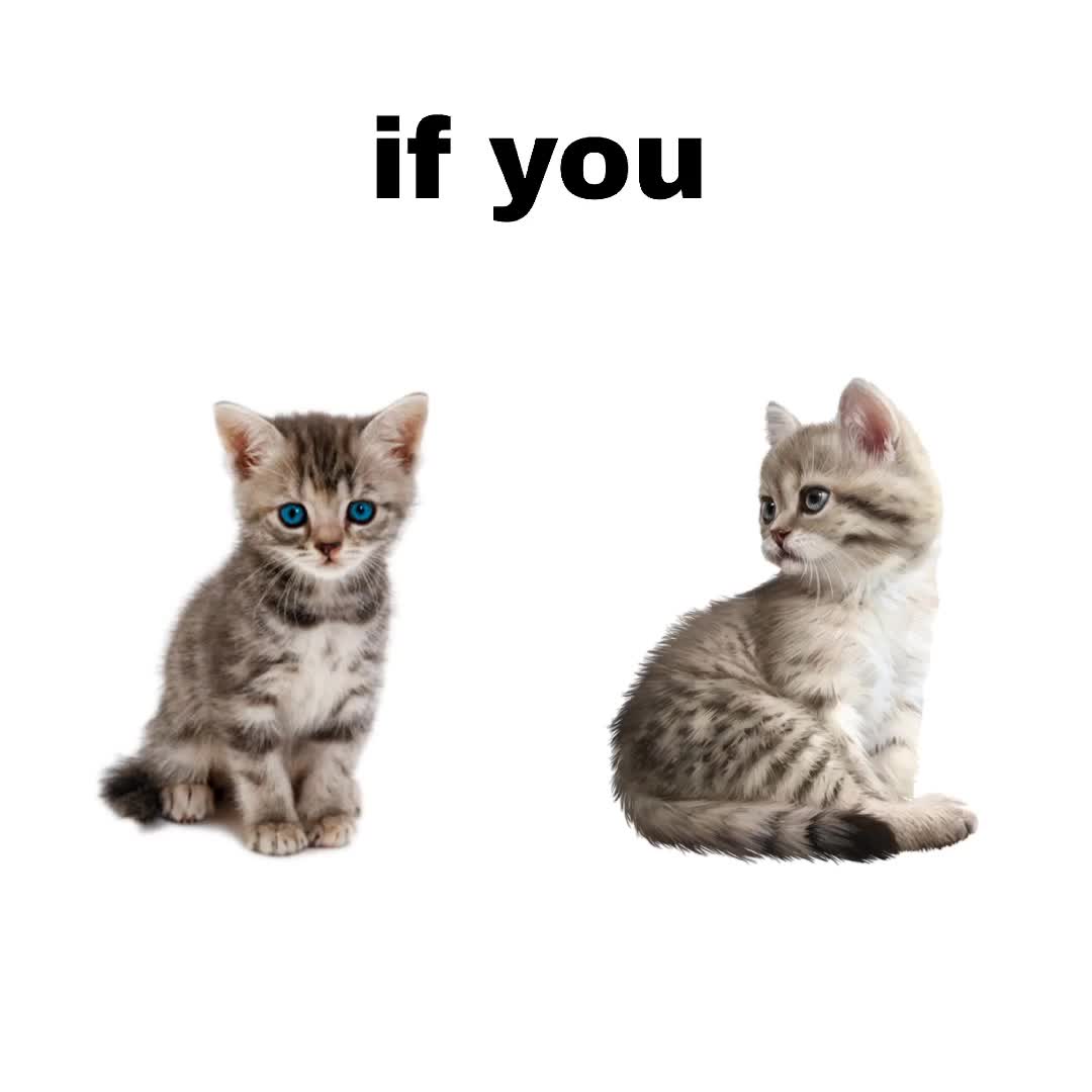 @nikiwick3d