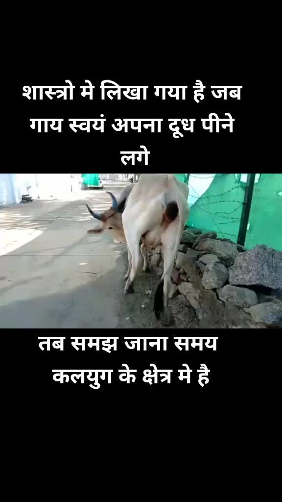 @Sushil Vyas Daga