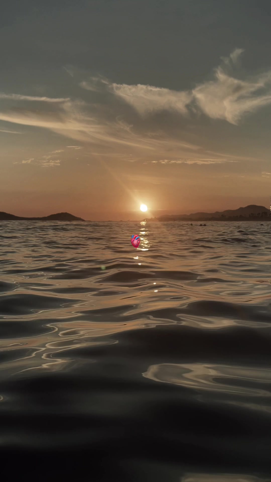 @Paloma Estrada