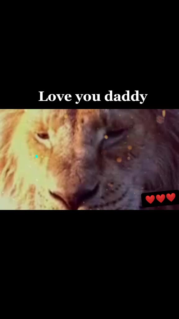 @Ayesha chaudhary
