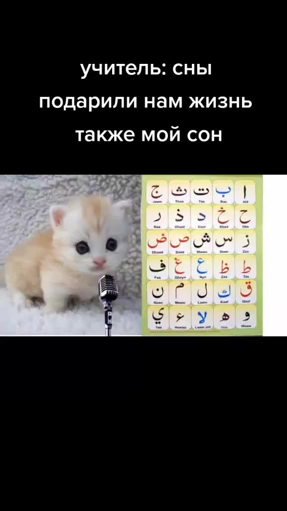 @user7022621855967