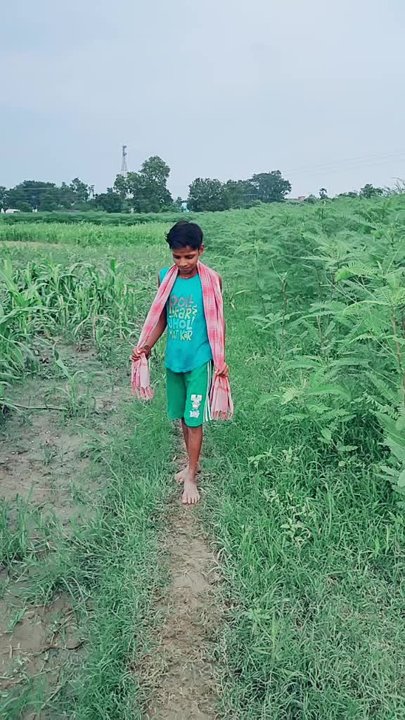 @user2247713593927