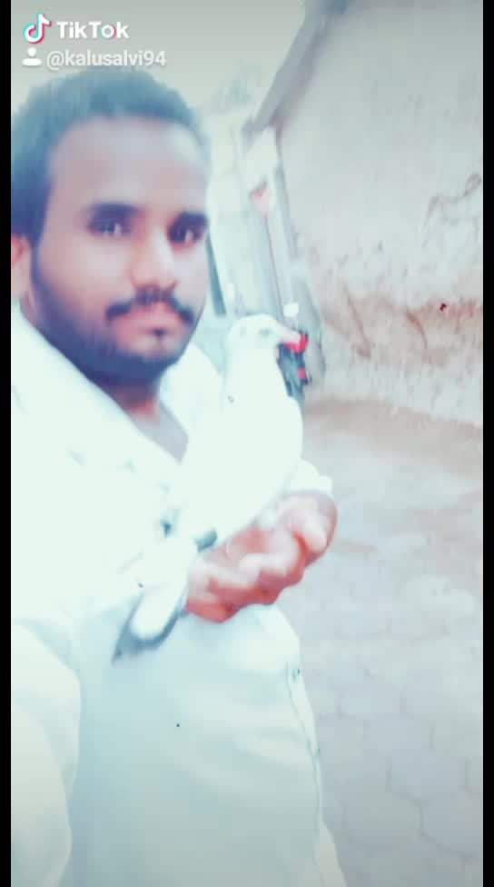 @Tik Toker
