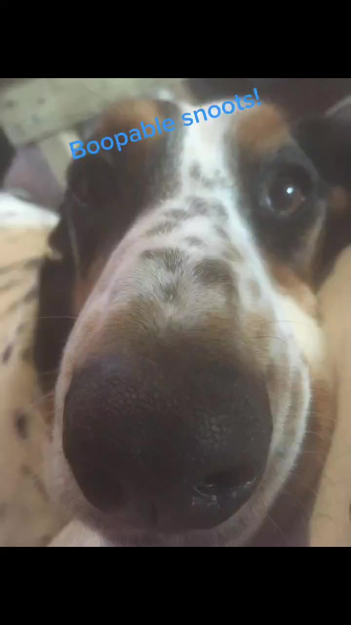 @VoodooM