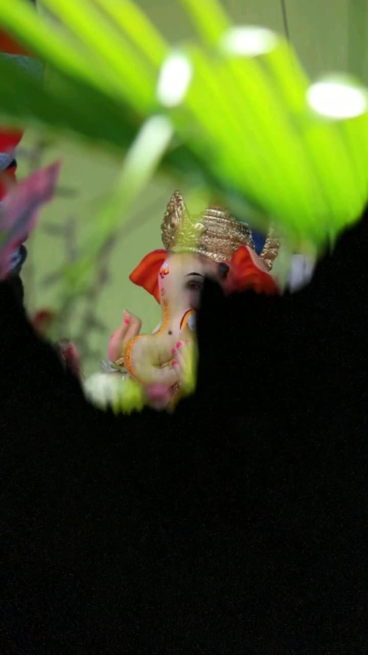 @indariya