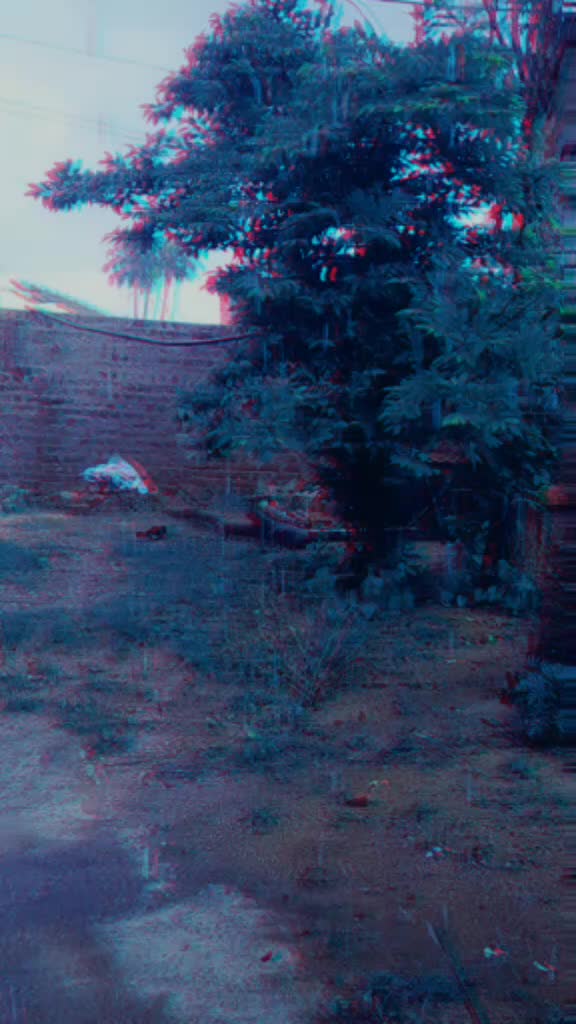@Tanu Jaswhal