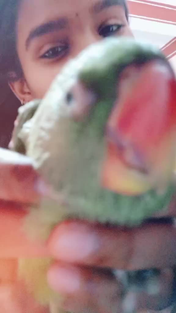 @nishuu_