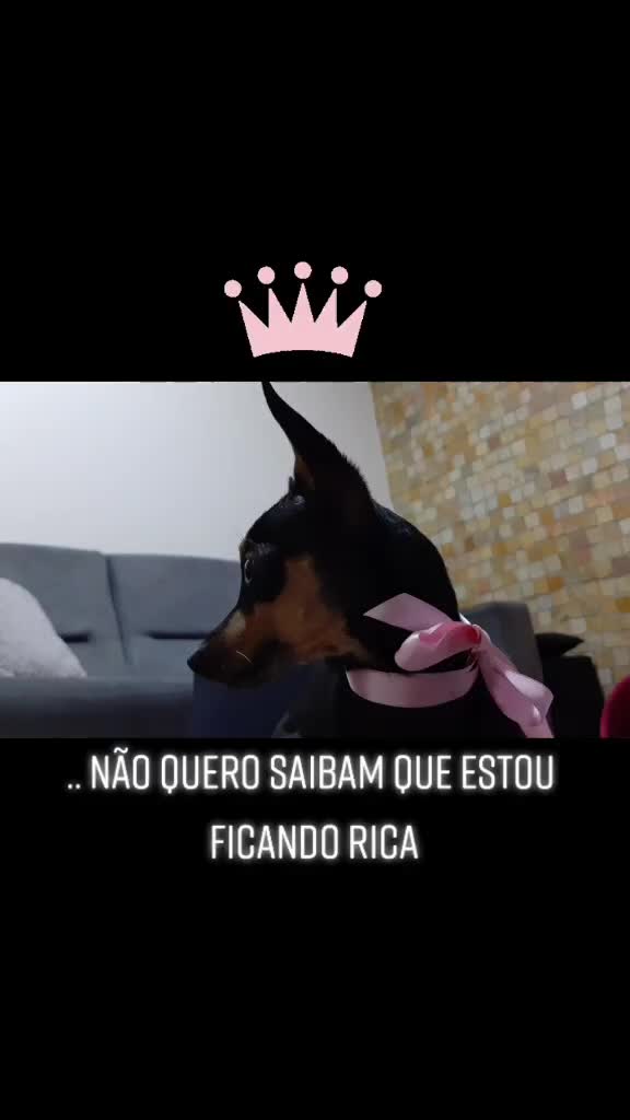 @NarutoCalopsita_Pets