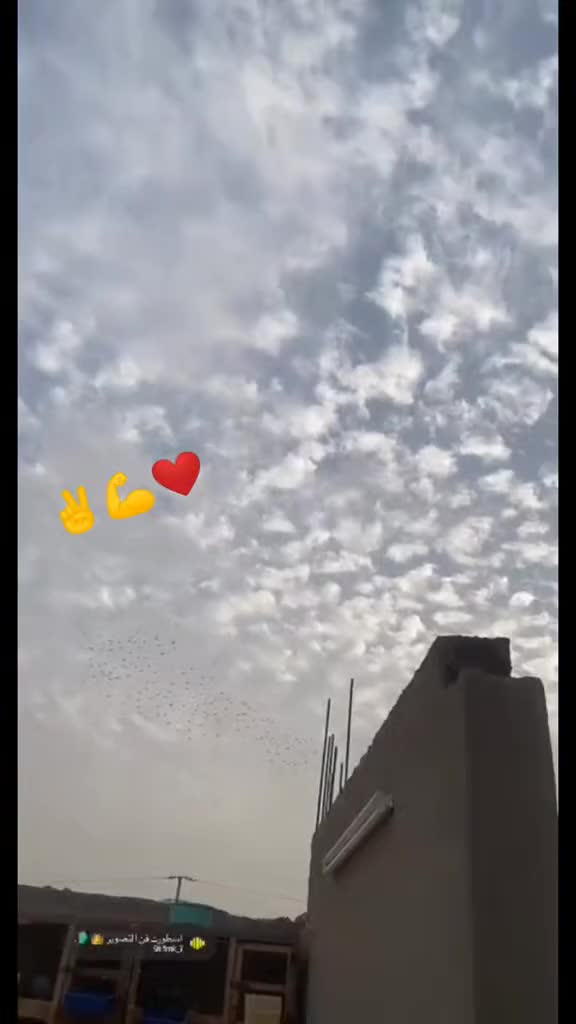 @Ali