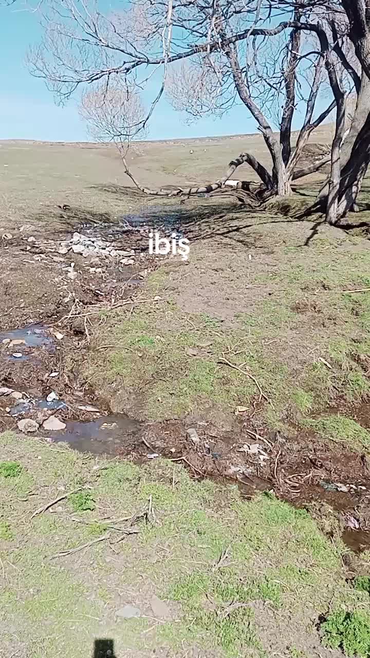 @şahinpolat