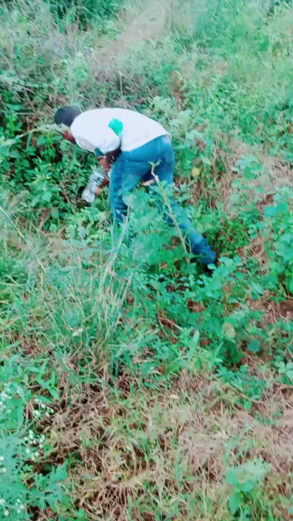 @user155426