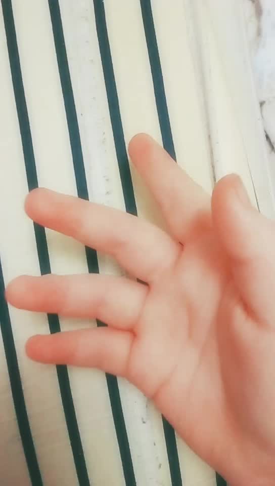 @soratraviler11
