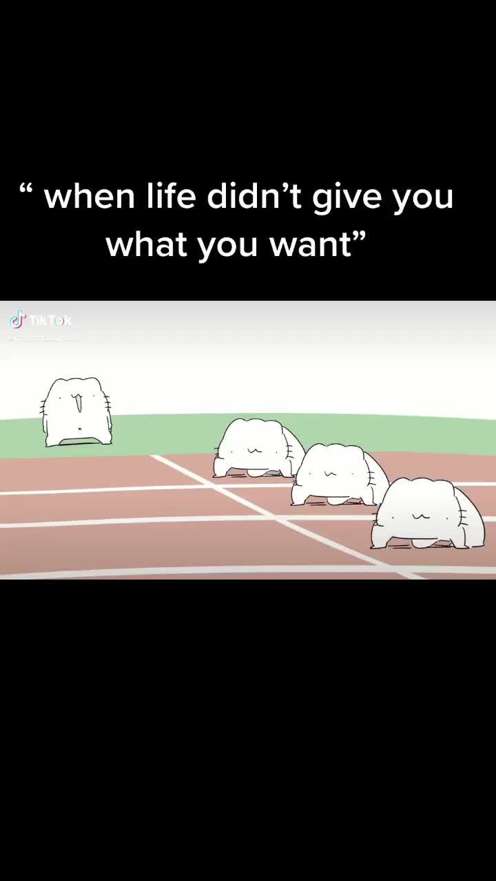 @Zzzz