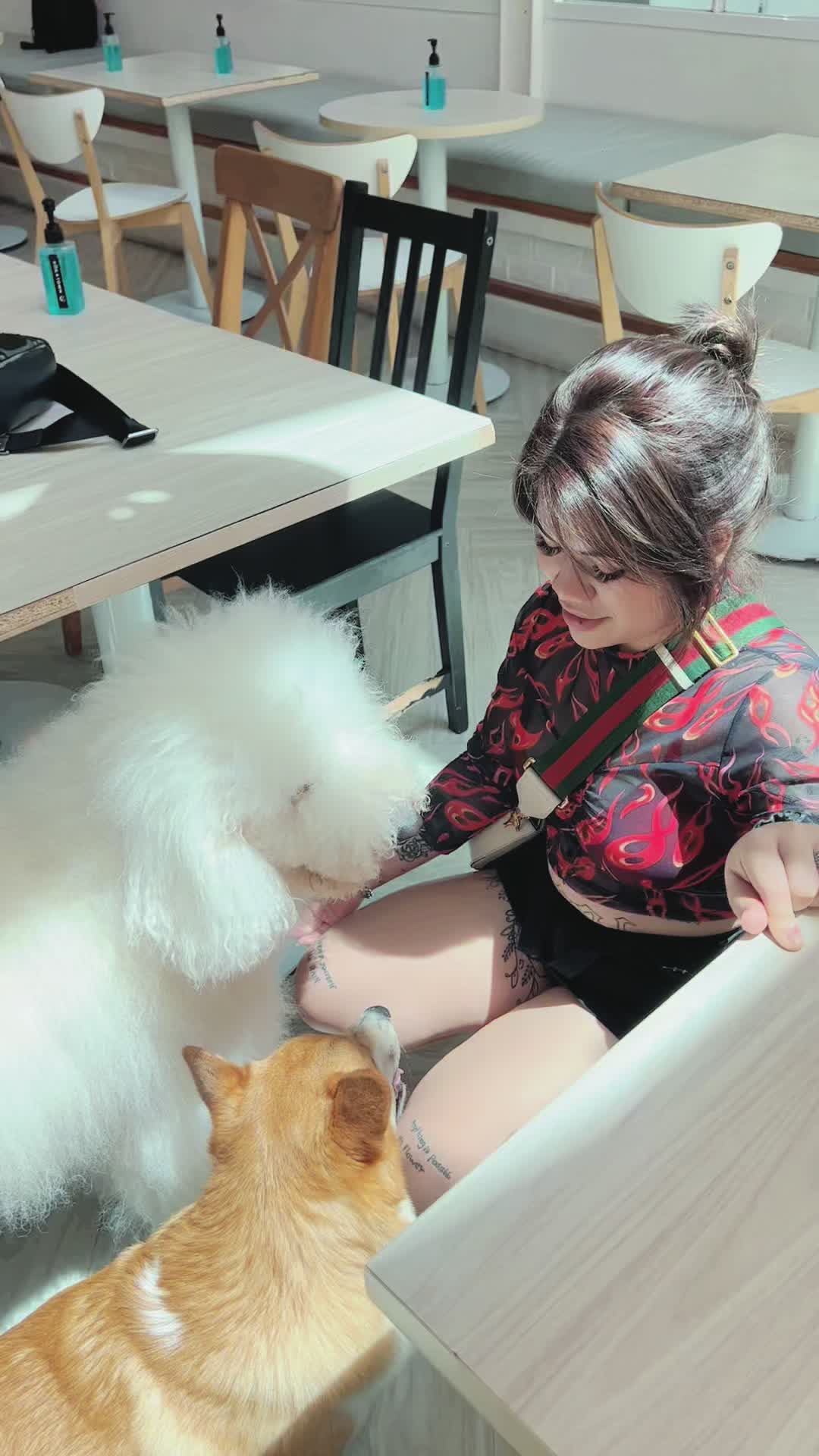 @Bella99