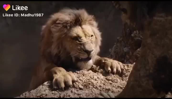 @vijayapur kA28 Troll