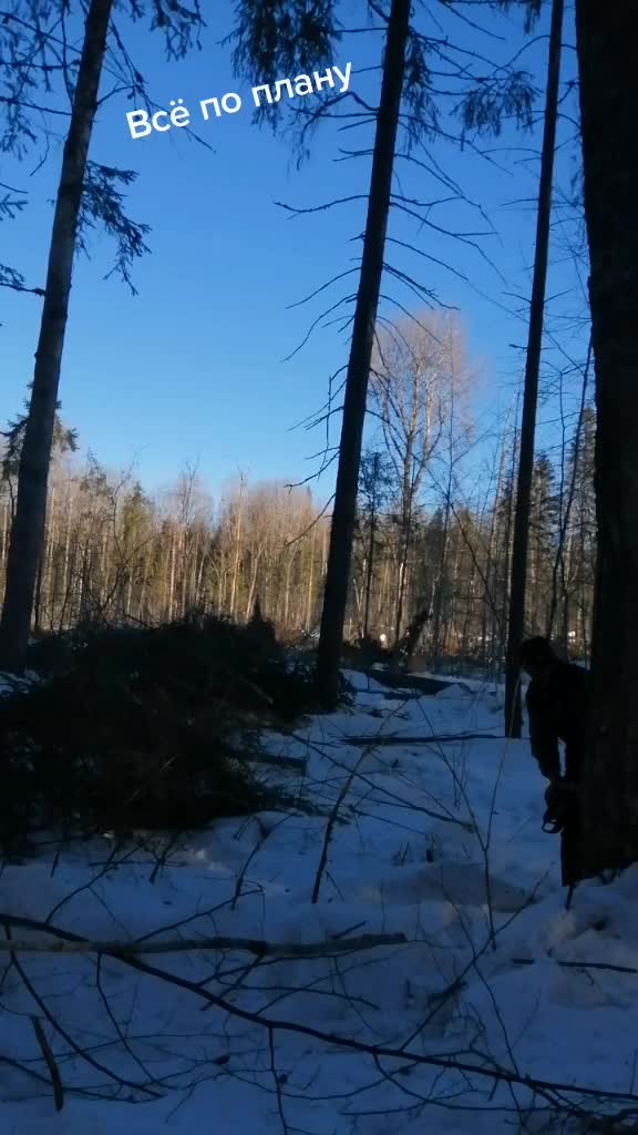 @Андрей Шубин