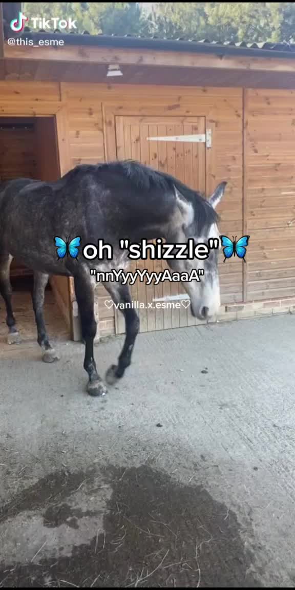 @𝐧𝐨𝐭𝐢𝐜𝐞𝐝 0𝐱
