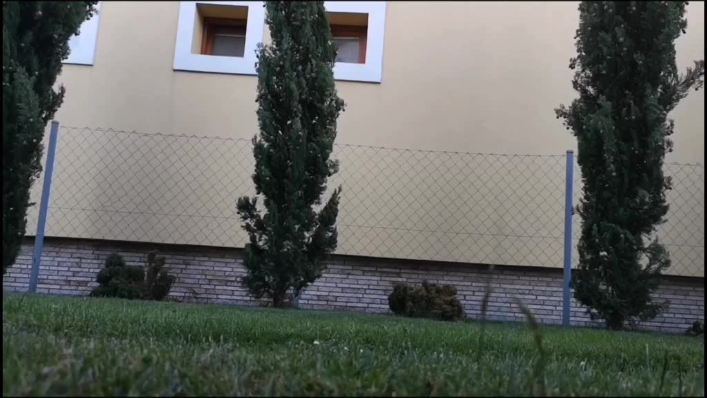 @peter_szemes