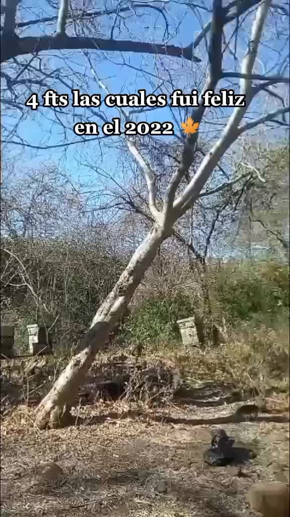 @✨CHINITA✨