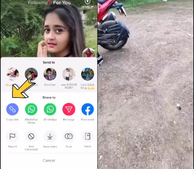 @👑Rohit Rajak👑