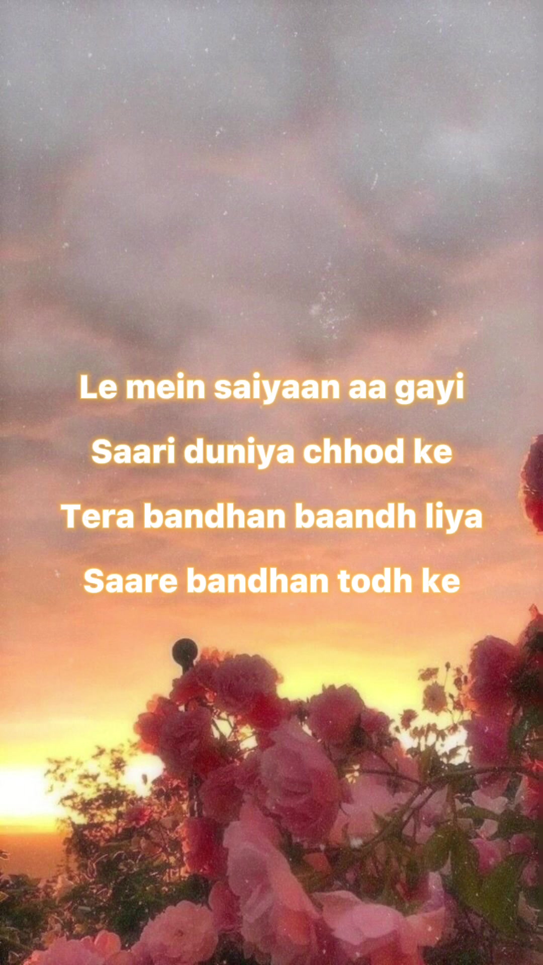 @BollyTokker