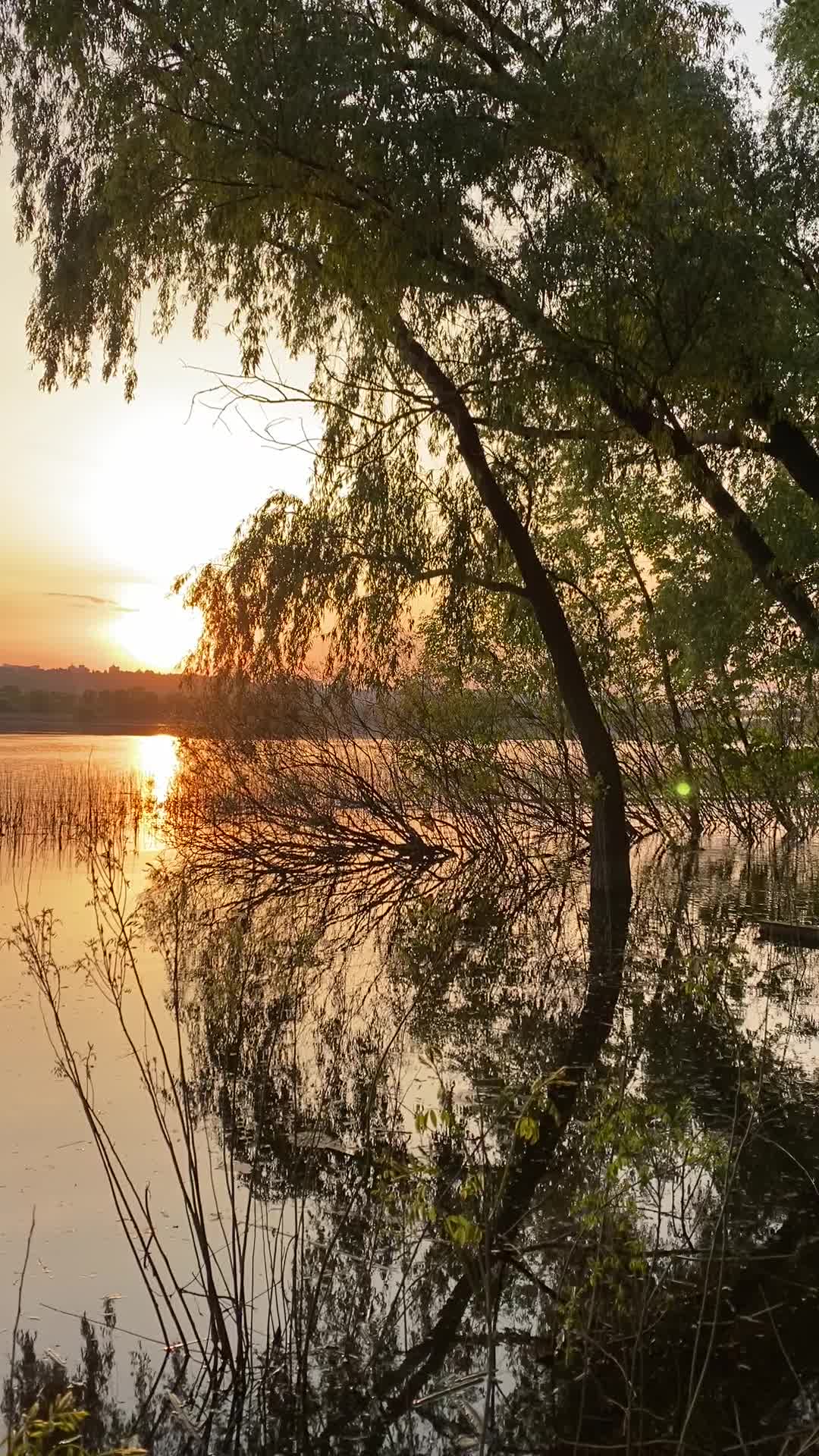 @Анюта Сероус