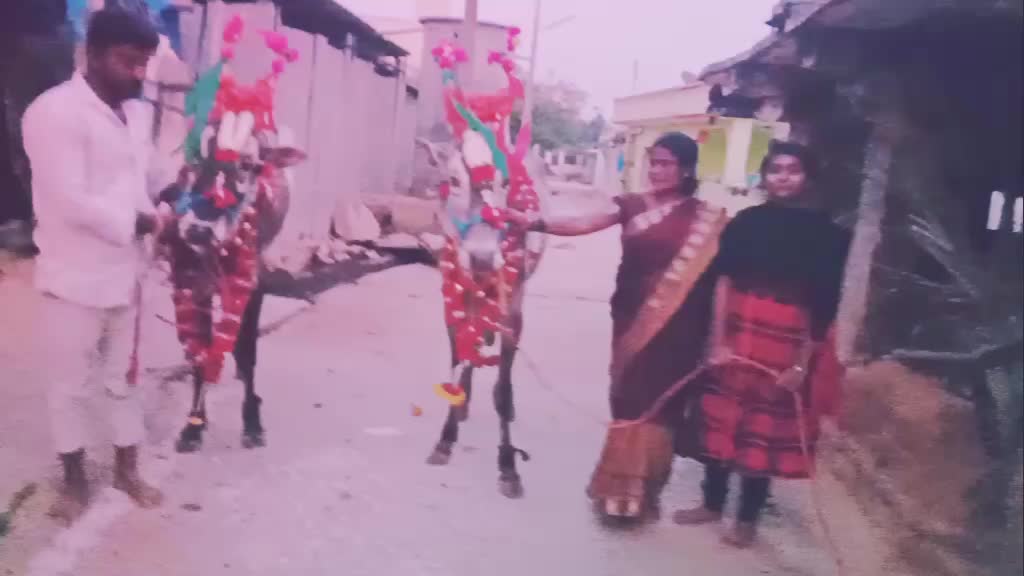 @rowdy_baby_aishu