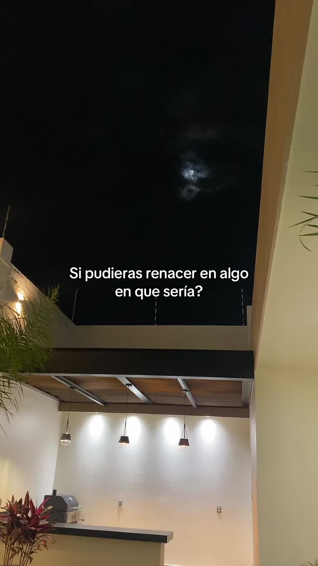 @Daniela Quiñones