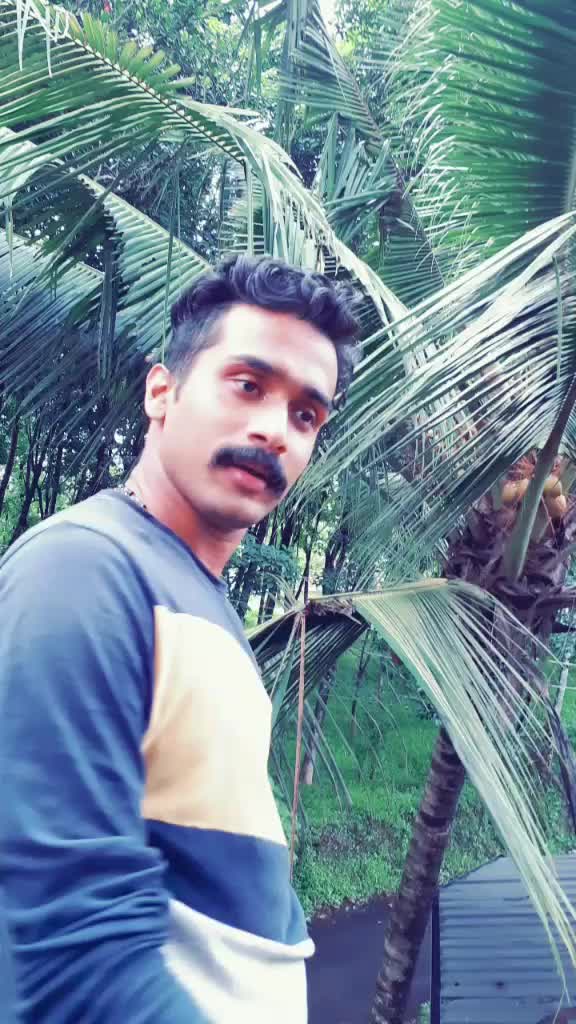 @Anandhu Jayan