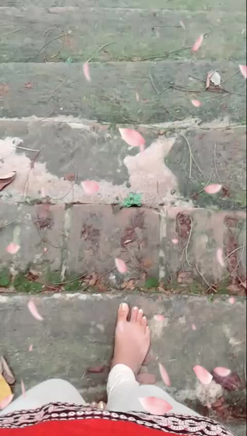 @Baishali_21