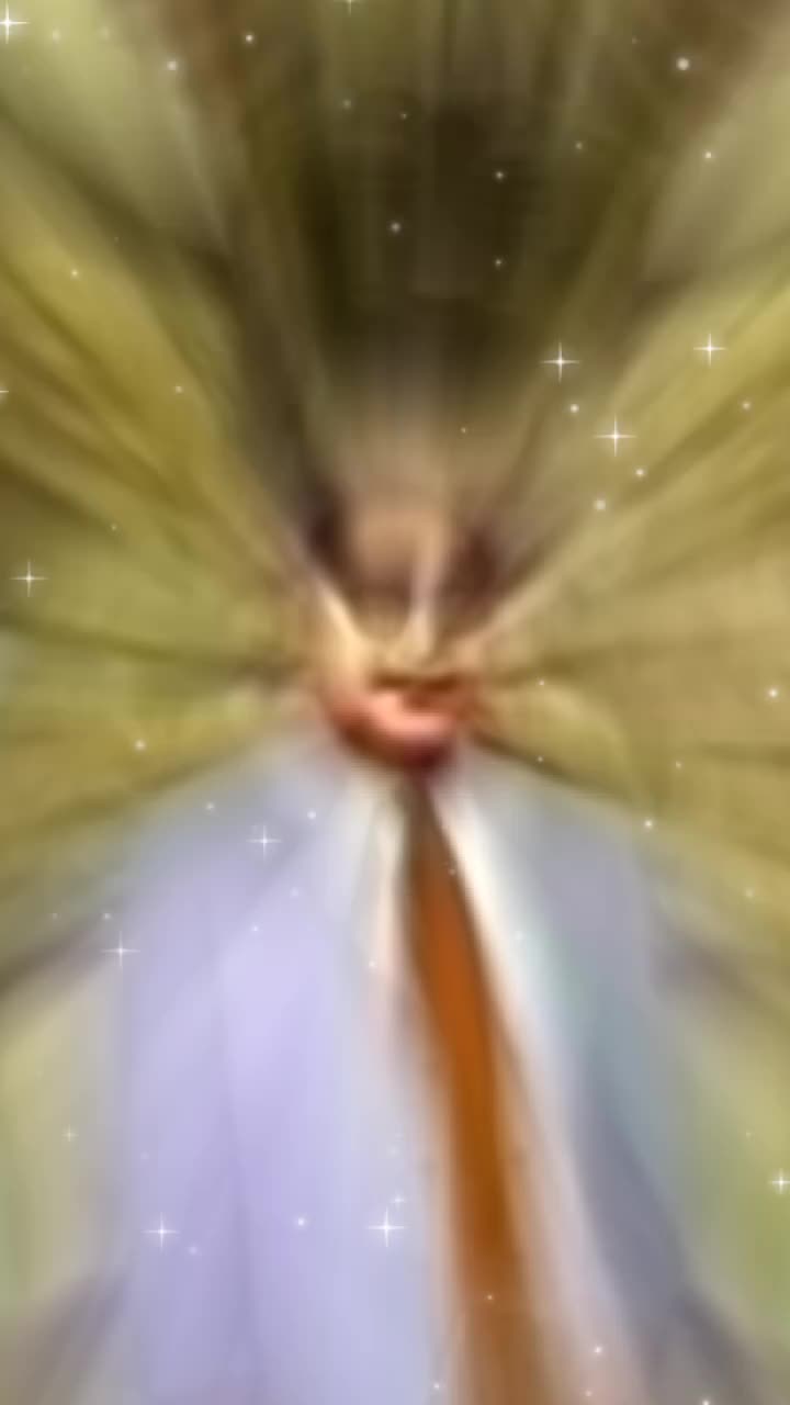 @user7246286444541