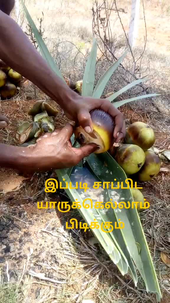 @Selva Kumar