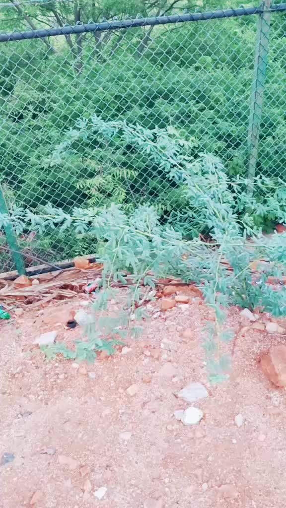 @PUSHPAVISHWA.SKR