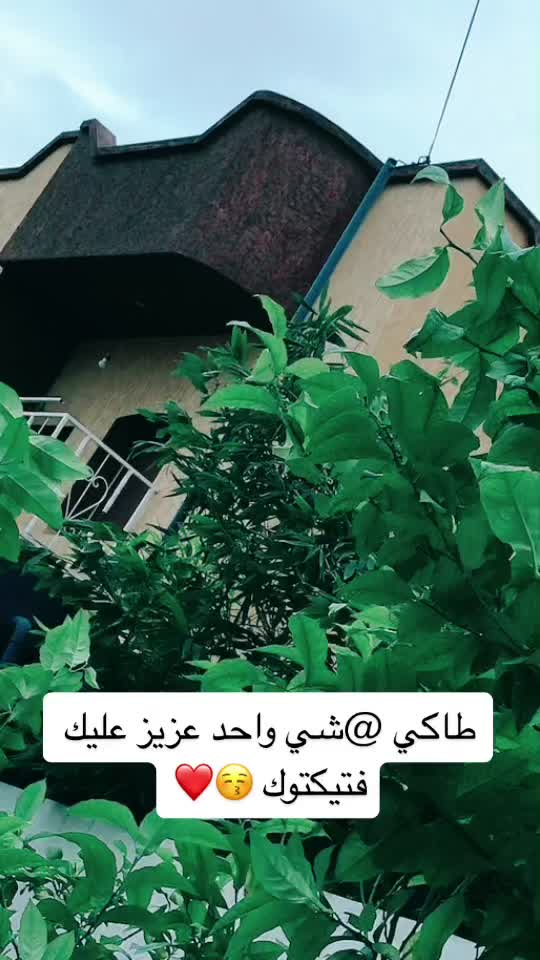 @⚜️_بسم الله 🤍