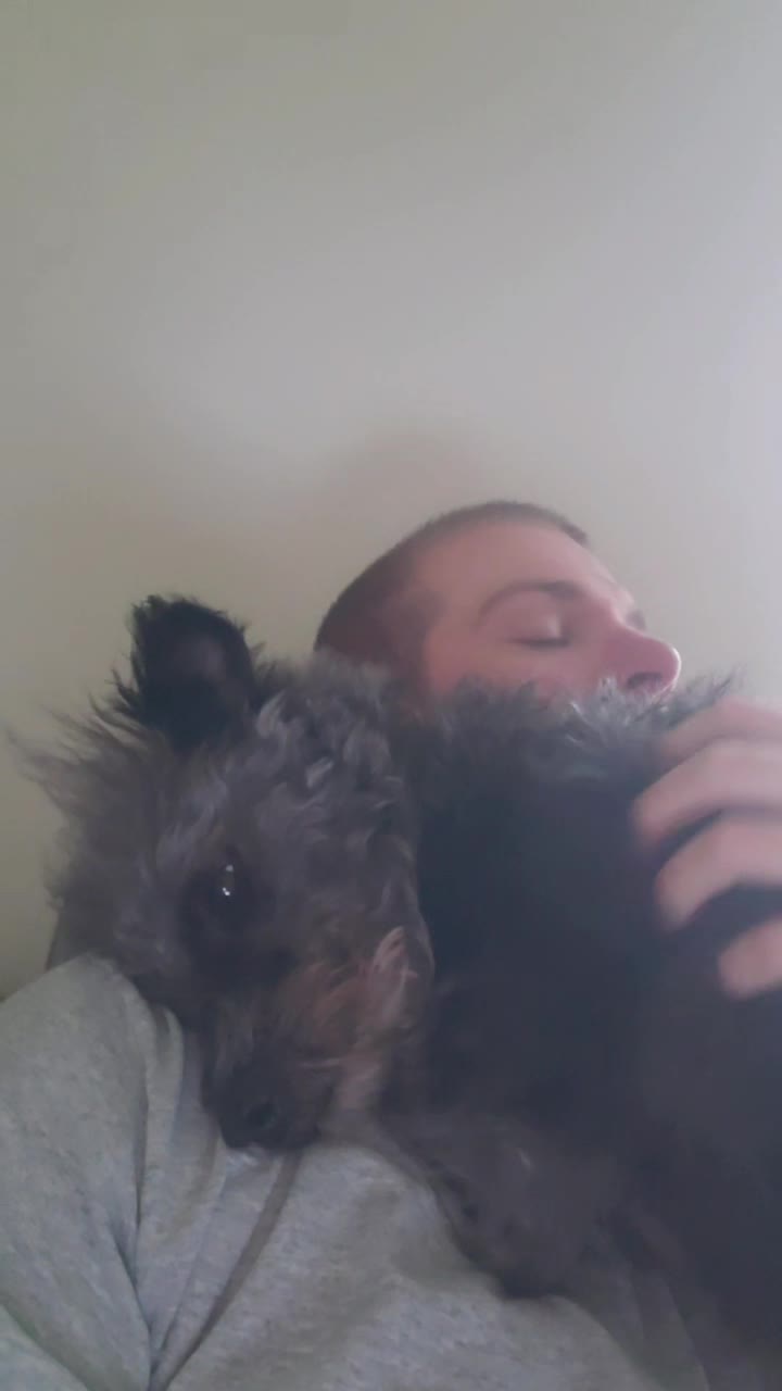 @Toto the Mutt