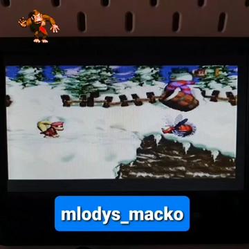 @mlodys_macko