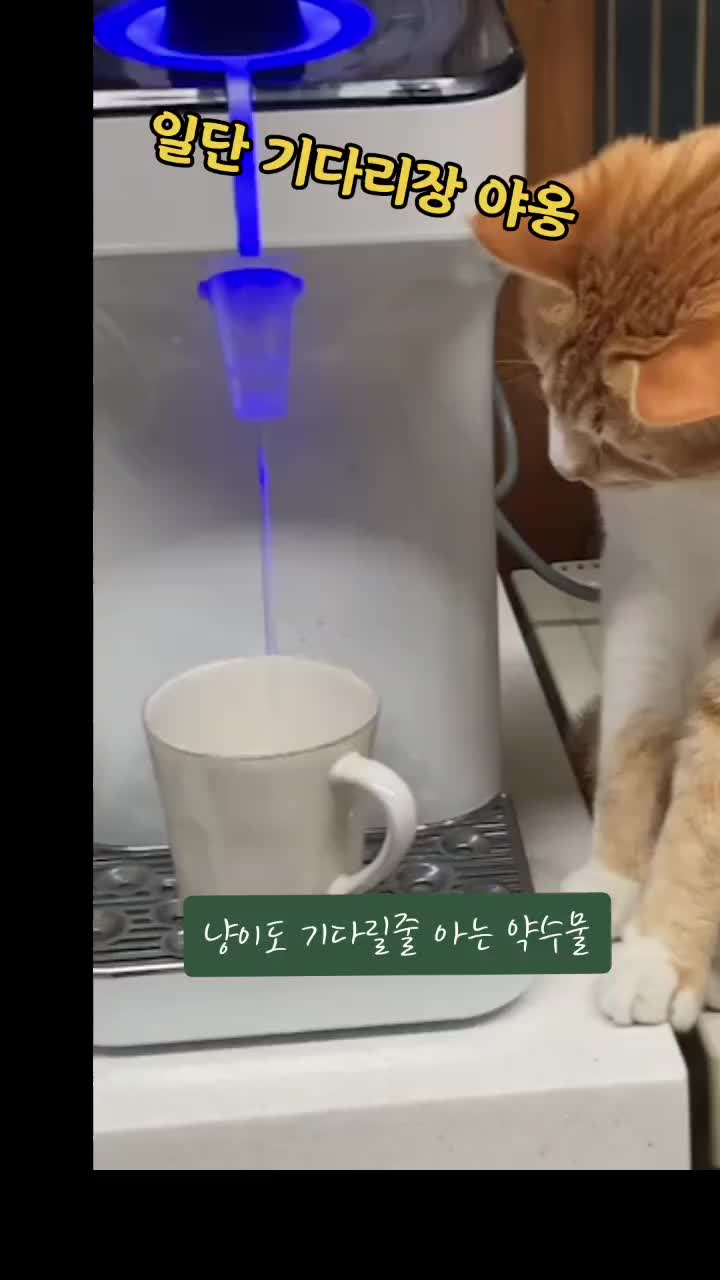 @์์ bbi-bbi๐ง๐ป