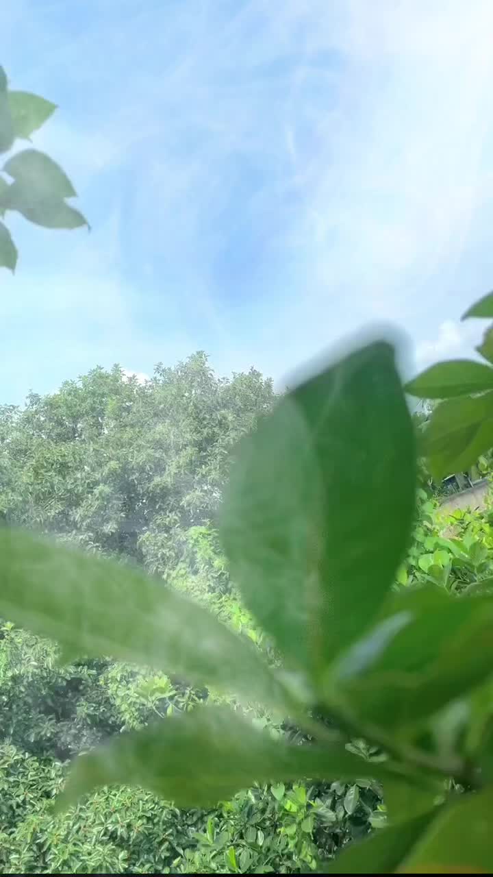 @Sayantan Karmakar