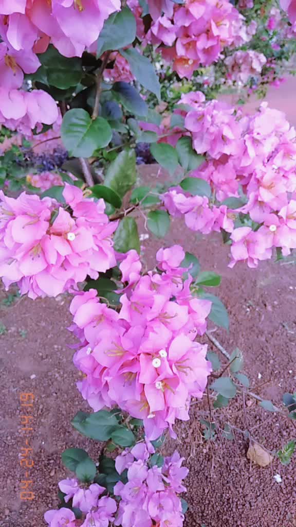 @Jeeva_nathan