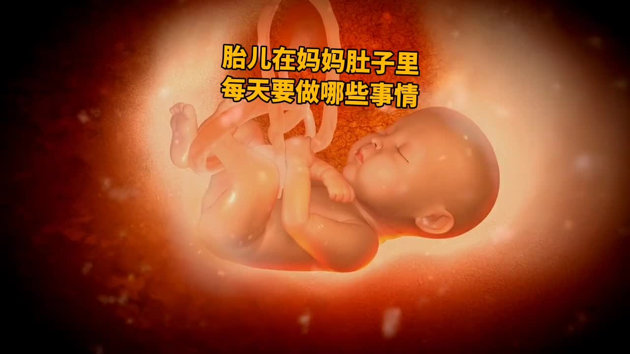 @科学探索视界